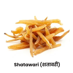 Shatawari